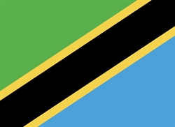 [ai] The flag of Tanzania featuring diagonal stripes of green, black, yellow, and blue. The green and blue stripes appear at the top and bottom, while the black stripe runs through the center with yellow borders.